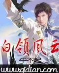 老卫淑容拨灰系列