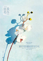 蜜战白瑜顾北慕