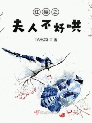我女友的妈妈中文