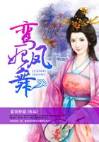 三生三世枕上书电视剧