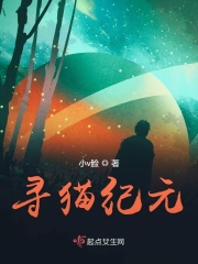 美免费视频日本高清