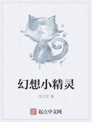飞机上的性服务2
