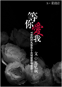 干b软件