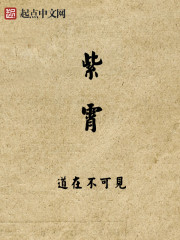 凭本事单身我凭本事单身电视剧免费观看