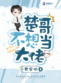龟甲的小说