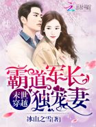 荒野乱斗流彩英雄介绍