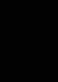 乔丹佛卡二级