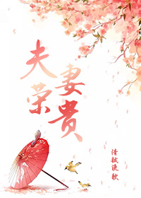 娇妻出轨之沉沦林小薇