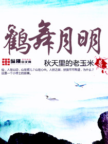 高h细节肉爽文办公室