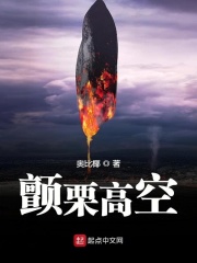 大巴士夜趣导航