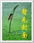 混元珍珠伞