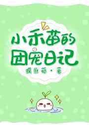 葫芦里面不卖药千片万片你需要