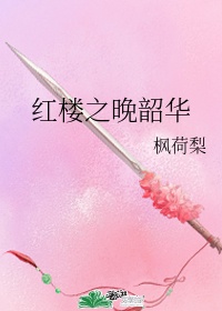 轮乱小说全文章节目录