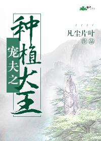 巅峰的神