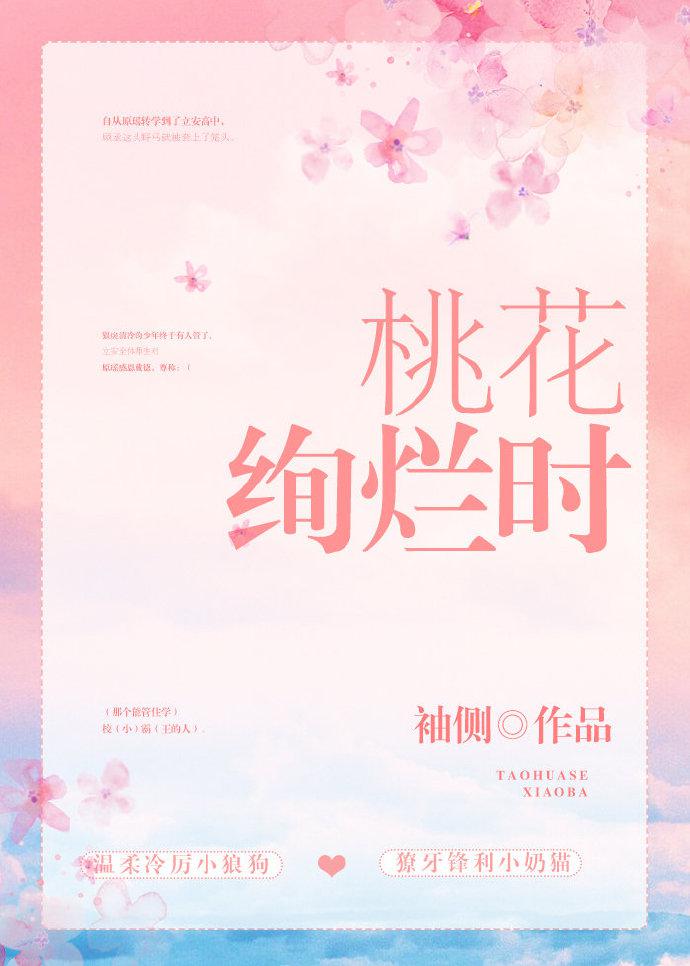 树莓小说