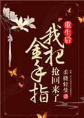 天龙八部之风流虚雨