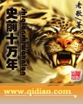 本站只有精品