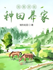 雾神岛全集
