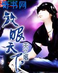 快新电动猫尾巴play