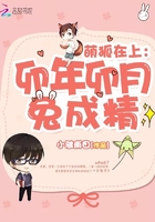王子的骑士