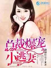甄宓传