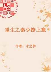 菲谢尔本子
