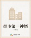 侍妾受正室惩罚小妾