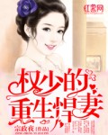 法国啄木鸟电影在线