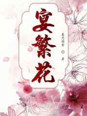 综漫小说