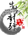 上流社会电影版
