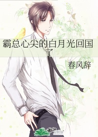 征服了同学的贵妇麻麻