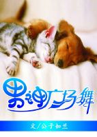 猫和老鼠传奇3