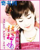 南安太妃传txt