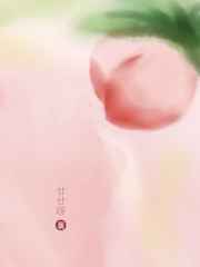 尺度松木
