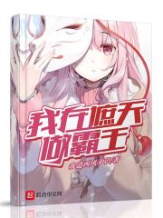 骑士导航手机在线