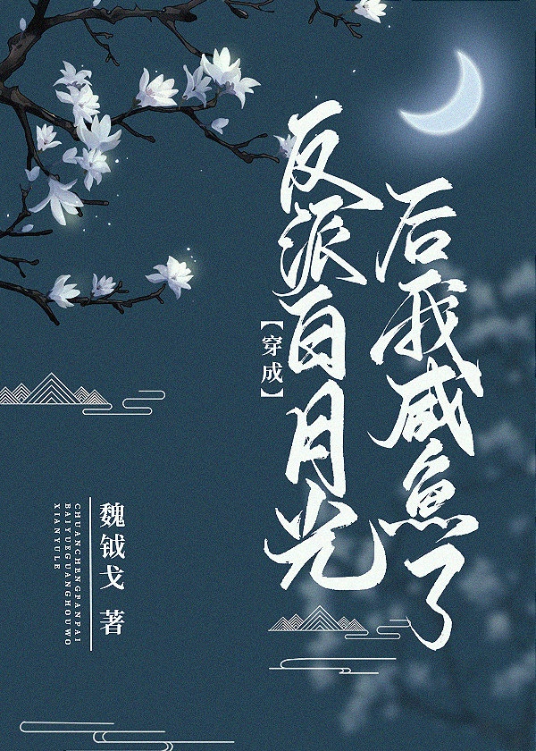 色域迷墙在线观看