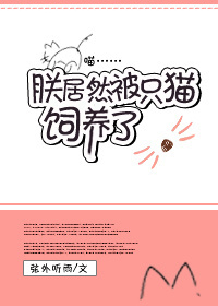 黄蓉与尤八系列