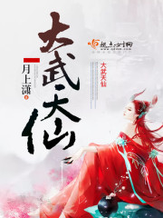 丝袜控小说
