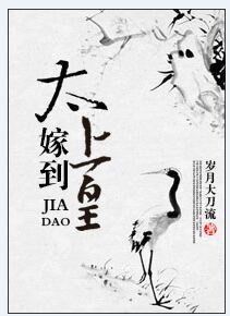 起点三大肉器是啥意思