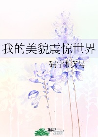 sfsf66自动跳转新域名