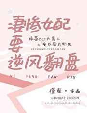 红烧肉的小说pop