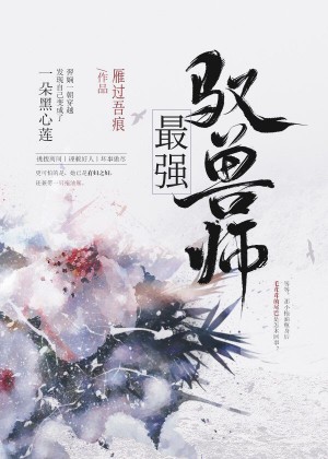 等不到你的雪月风花是什么歌