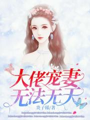 守护丽人电视剧全集在线观看