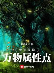黑话律师在线观看
