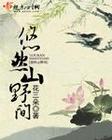 chinesegaytv