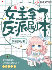 双11