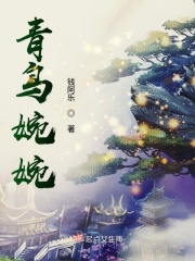 羊毛战记小说