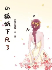 隐形战队电视剧免费全集