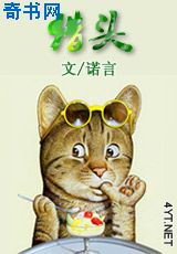 猫咪网站永久在线观看