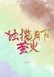 关秀媚贼王